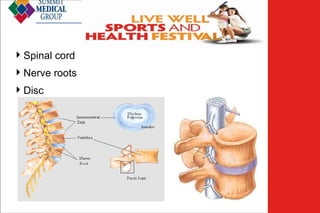 Low Back
Pain
 Spinal cord
 Nerve roots
 Disc

 