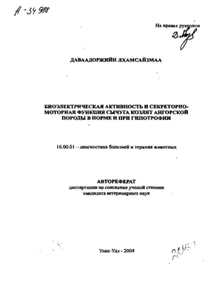 На правах рукописи
ДАВААДОРЖИЙН ЛХАМСАЙЗМАА
БИОЭЛЕКТРИЧЕСКАЯ АКТИВНОСТЬ И СЕКРЕТОРНО-
МОТОРНАЯ ФУНКЦИЯ СЫЧУГА КОЗЛЯТ АНГОРСКОЙ
ПОРОДЫ В НОРМЕ И ПРИ ГИПОТРОФИИ
16.00.01 —диагностика болезней и терапия животных
АВТОРЕФЕРАТ
диссертации на соискание ученой степени
кандидата ветеринарных наук
Улан-Удэ - 2004 П f У '
Copyright ОАО «ЦКБ «БИБКОМ» & ООО «Aгентство Kнига-Cервис»
 