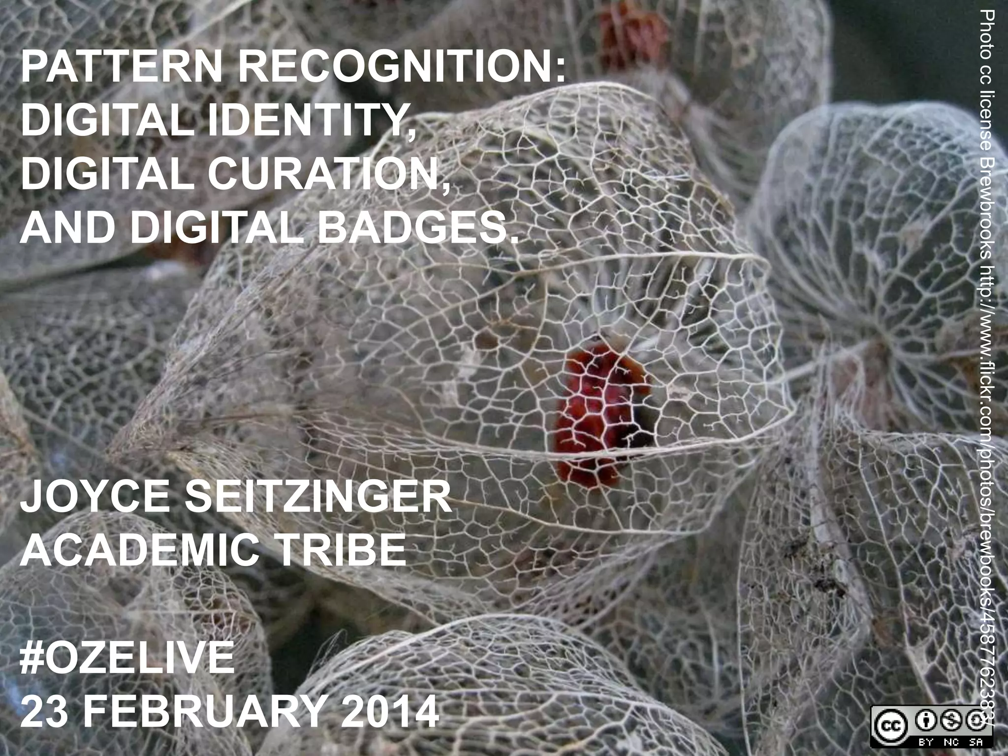 Pattern Recognition digital identity, digital curation and digital