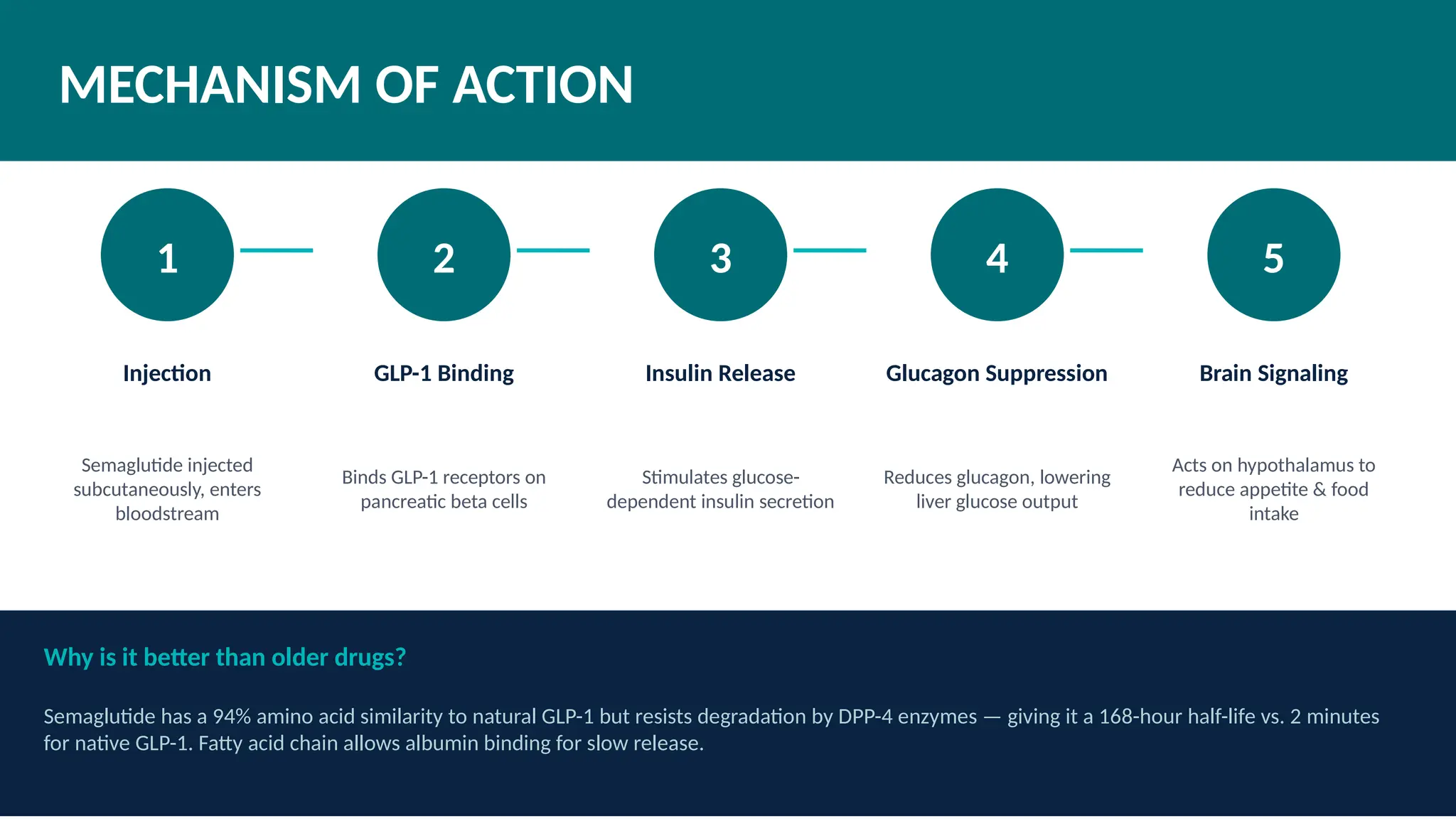 Ozempic and Semaglutide: Revolutionizing Diabetes and Obesity Treatment with GLP-1 Agonists