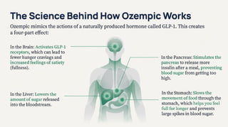 ozempic glp 1 mechanism of action Columbia Undergraduate Science Journal Glucagon-like peptide-1 - Wikipedia