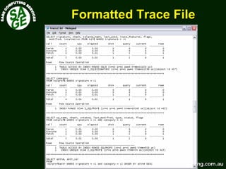 www.sagecomputing.com.auwww.sagecomputing.com.au
Formatted Trace FileFormatted Trace File
 