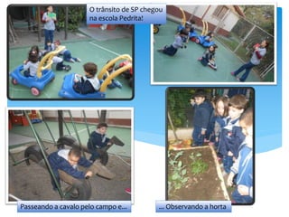 ... Observando a horta
O trânsito de SP chegou
na escola Pedrita!
Passeando a cavalo pelo campo e...
 