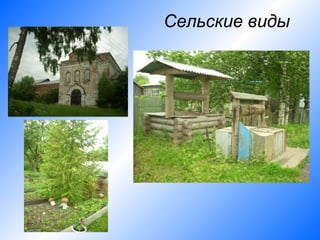 Сельские виды
 