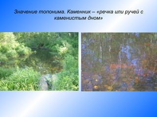 Значение топонима. Каменник – «речка или ручей с
              каменистым дном»
 