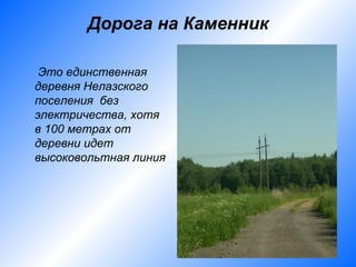 Дорога на Каменник

 Это единственная
деревня Нелазского
поселения без
электричества, хотя
в 100 метрах от
деревни идет
высоковольтная линия
 