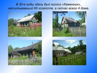 В 30-е годы здесь был колхоз «Каменник»,
насчитывавший 60 хозяйств, а сейчас всего 4 дома.
 