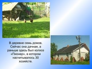 В деревне семь домов.
  Сейчас она дачная, а
раньше здесь был колхоз
  «Пионер», в котором
   насчитывалось 30
       хозяйств.
 