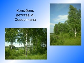 Колыбель
 детства И.
Северянина
 