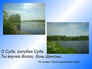 О Суда, голубая Суда,
Ты внучка Волги, дочь Шексны…
                 Из поэмы «Роса оранжевого часа»
 
