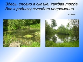 Здесь, словно в сказке, каждая тропа
Вас к роднику выводит непременно…
                               А. Яшин
 