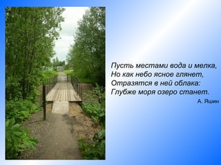 Пусть местами вода и мелка,
Но как небо ясное глянет,
Отразятся в ней облака:
Глубже моря озеро станет.
                      А. Яшин
 