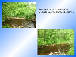 Речка быстрая, каменистая
В нашей местности протекает…
 