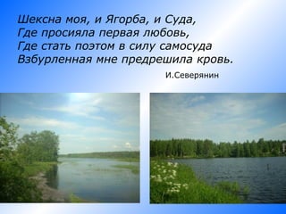 Шексна моя, и Ягорба, и Суда,
Где просияла первая любовь,
Где стать поэтом в силу самосуда
Взбурленная мне предрешила кровь.
                      И.Северянин
 