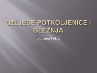 Domina Petrić
 