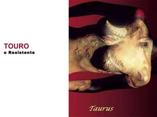 TOURO  o Resistente   