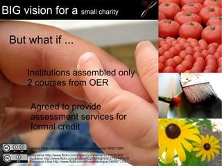 BIG vision for a small charity
juicyverve http://www.flickr.com/photos/juicyverve/2531105062/
But what if ...
Institutions...