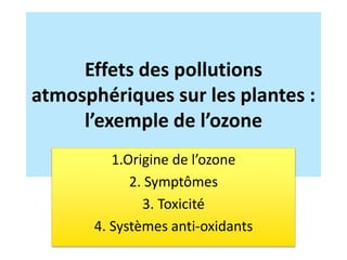 Effets des pollutions
atmosphériques sur les plantes :
l’exemple de l’ozone
1.Origine de l’ozone
2. Symptômes
3. Toxicité
4. Systèmes anti-oxidants
 