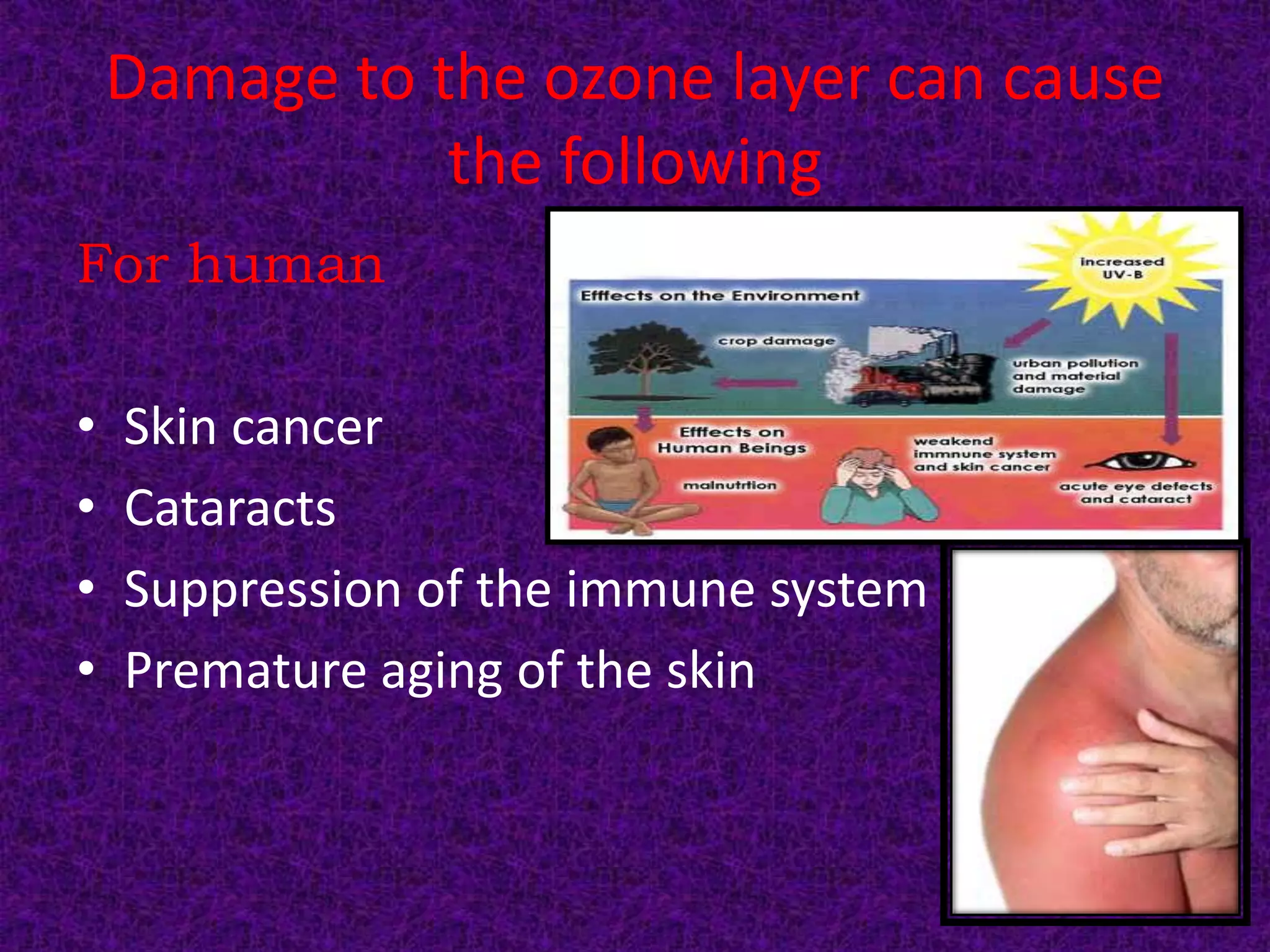 Damage to the ozone layer can cause
the following
For human
• Skin cancer
• Cataracts
• Suppression of the immune system
• Premature aging of the skin
 