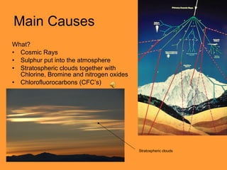 Main Causes What? Cosmic Rays Sulphur put into the atmosphere  Stratospheric clouds together with Chlorine, Bromine and nitrogen oxides Chlorofluorocarbons (CFC’s) Stratospheric clouds 
