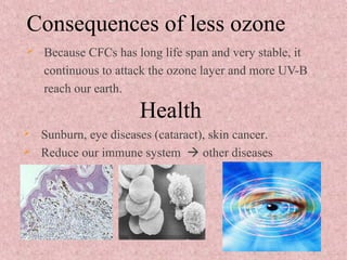 Consequences of less ozone
 Because CFCs has long life span and very stable, it
continuous to attack the ozone layer and more UV-B
reach our earth.
Health
 Sunburn, eye diseases (cataract), skin cancer.
 Reduce our immune system  other diseases
 