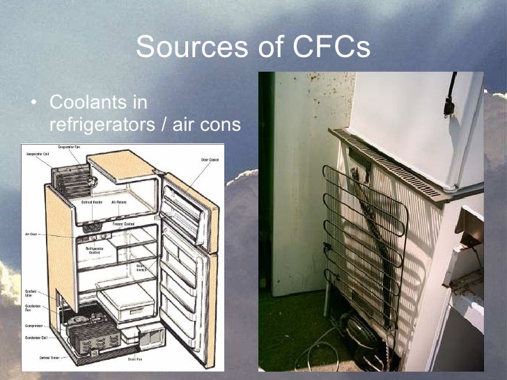 Sec 2 Ozone Depletion
