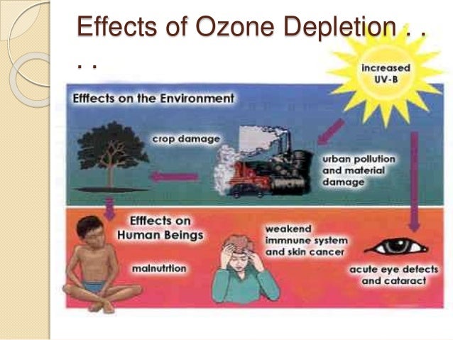 Effects Of Ozone Depletion On Plants