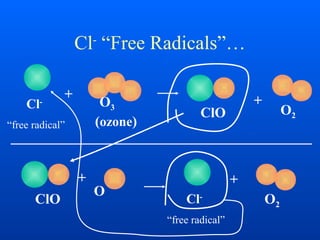 Cl-
“Free Radicals”…
Cl-
“free radical”
O3
(ozone)
+
O2ClO
+
ClO
+
O
Cl-
“free radical”
+
O2
 