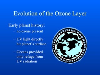 Evolution of the Ozone Layer
Early planet history:
– no ozone present
– UV light directly
hit planet’s surface
– Oceans provided
only refuge from
UV radiation
 