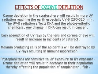 Ozone depletion in the stratosphere will result in more UV
radiation reaching the earth especially UV-B (290-320 nm) .
The UV-B radiation affects DNA and the photosynthetic
chemicals . Any change in DNA can result in cancer .
Easy absorption of UV rays by the lens and cornea of eye will
result in increase in incidents of cataract .
Melanin producing cells of the apidermis will be destroyed by
UV-rays resulting in immunesuppression .
Phytoplanktons are sensitive to UV exposure to UV exposure .
Ozone depletion will result in decrease in their population
thereby affecting the population of zooplankton , fish .
 