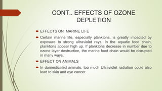 CONT.. EFFECTS OF OZONE
DEPLETION
 EFFECTS ON MARINE LIFE
 Certain marine life, especially planktons, is greatly impacted by
exposure to strong ultraviolet rays. In the aquatic food chain,
planktons appear high up. If planktons decrease in number due to
ozone layer destruction, the marine food chain would be disrupted
in many ways.
 EFFECT ON ANIMALS
 In domesticated animals, too much Ultraviolet radiation could also
lead to skin and eye cancer.
 