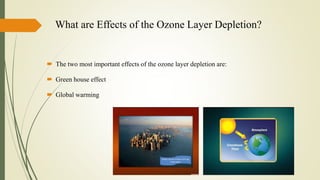 What are Effects of the Ozone Layer Depletion?
 The two most important effects of the ozone layer depletion are:
 Green house effect
 Global warming
 