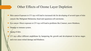 Other Effects of Ozone Layer Depletion
 Skin cancer-Exposure to UV rays will lead to increased risk for developing of several types of skin
cancers like Malignant Melanoma, basal and squamous cell carcinoma .
 Eye cancer- Direct exposure to UV rays will lead to problems like Cataract, snow blindness.
 Damage to immune system.
 Aging of skin.
 UV rays affect different amphibians by hampering the growth and development in larvae stages
and even cause retinal damage and blindness.
 
