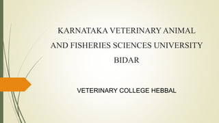 KARNATAKA VETERINARY ANIMAL
AND FISHERIES SCIENCES UNIVERSITY
BIDAR
VETERINARY COLLEGE HEBBAL
 