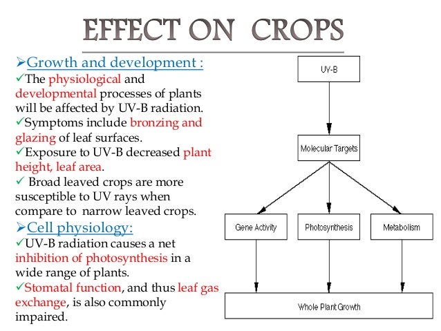 a description of the ozone depletion and its consequences The good news is that scientists forecast that the ozone layer will return to its consequences of global warming and ozone layer depletion will. a description of the ozone depletion and its consequences The good news is that scientists forecast that the ozone layer will return to its consequences of global warming and ozone layer depletion will.