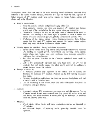 C.U.EBONG
Stratospheric ozone filters out most of the sun's potentially harmful shortwave ultraviolet (UV)
radiation. If this ozone becomes depleted, then more UV rays will reach the earth. Exposure to
higher amounts of UV radiation could have serious impacts on human beings, animals and
plants, such as the following:
 Harm to human health:
o More skin cancers, sunburns and premature aging of the skin.
o More cataracts, blindness and other eye diseases: UV radiation can damage
several parts of the eye, including the lens, cornea, retina and conjunctiva.
o Cataracts (a clouding of the lens) are the major cause of blindness in the world. A
sustained 10% thinning of the ozone layer is expected to result in almost two
million new cases of cataracts per year, globally (Environment Canada, 1993).
o Weakening of the human immune system (immunosuppression). Early findings
suggest that too much UV radiation can suppress the human immune system,
which may play a role in the development of skin cancer.
 Adverse impacts on agriculture, forestry and natural ecosystems:
o Several of the world's major crop species are particularly vulnerable to increased
UV, resulting in reduced growth, photosynthesis and flowering. These species
include wheat, rice, barley, oats, corn, soybeans, peas, tomatoes, cucumbers,
cauliflower, broccoli and carrots.
o The effect of ozone depletion on the Canadian agricultural sector could be
significant.
o Only a few commercially important trees have been tested for UV (UV-B)
sensitivity, but early results suggest that plant growth, especially in seedlings, is
harmed by more intense UV radiation.
 Damage to marine life:
o In particular, plankton (tiny organisms in the surface layer of oceans) are
threatened by increased UV radiation. Plankton are the first vital step in aquatic
food chains.
o Decreases in plankton could disrupt the fresh and saltwater food chains, and lead
to a species shift in Canadian waters.
o Loss of biodiversity in our oceans, rivers and lakes could reduce fish yields for
commercial and sport fisheries.
 Animals:
o In domestic animals, UV overexposure may cause eye and skin cancers. Species
of marine animals in their developmental stage (e.g. young fish, shrimp larvae and
crab larvae) have been threatened in recent years by the increased UV radiation
under the Antarctic ozone hole.
 Materials:
o Wood, plastic, rubber, fabrics and many construction materials are degraded by
UV radiation.
o The economic impact of replacing and/or protecting materials could be
significant.
 