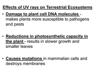 Effects of UV rays on Terrestrial Ecosystems
• Damage to plant cell DNA molecules -
makes plants more susceptible to patho...