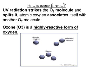 How is ozone formed?
UV radiation strikes the O2 molecule and
splits it, atomic oxygen associates itself with
another O2 m...