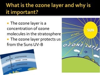  The ozone layer is a
concentration of ozone
molecules in the stratosphere
 The ozone layer protects us
from the Suns UV-B
 