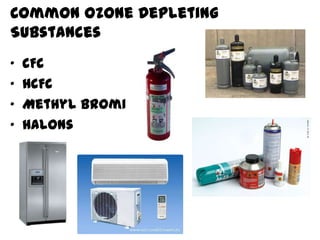 Common Ozone Depleting
Substances
• CFC
• HCFC
• Methyl Bromide
• Halons
 
