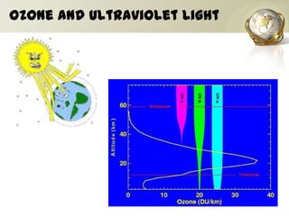 Ozone and Ultraviolet Light
 