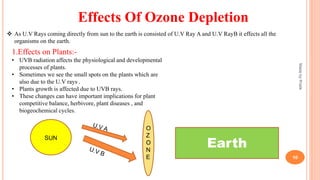 Effects Of Ozone Depletion
 As U.V Rays coming directly from sun to the earth is consisted of U.V Ray A and U.V RayB it effects all the
organisms on the earth.
Earth
SUN
O
Z
O
N
E
MadebyPratik
10
1.Effects on Plants:-
• UVB radiation affects the physiological and developmental
processes of plants.
• Sometimes we see the small spots on the plants which are
also due to the U.V rays .
• Plants growth is affected due to UVB rays.
• These changes can have important implications for plant
competitive balance, herbivore, plant diseases , and
biogeochemical cycles.
 