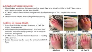 2. Effects on Marine Ecosystem:-
• Phytoplankton which forms the foundation of the aquatic food webs, it is affected due to the UVB rays due to
which aquatic organisms survival is not possible.
• UVB rays has been found to cause damage to early development stages of fish , crab and other marine
animals.
• The most severe effect is decreased reproductive capacity.
MadebyPratik
11
3.Effects on Human Health:-
• Ozone layer depletion increases the amount of UVB that
reaches the earth surface.
• Laboratory studies demonstrate that the UVB causes non-
melanoma skin cancer and plays a major role in malignant
melanoma development.
• UVB has linked to the development of cataracts , a clouding
of the eye’s lens.
• Certain skin cancer are also caused due to these harmful U.V
Rays
 