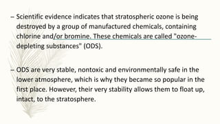 – Scientific evidence indicates that stratospheric ozone is being
destroyed by a group of manufactured chemicals, containing
chlorine and/or bromine. These chemicals are called "ozone-
depleting substances" (ODS).
– ODS are very stable, nontoxic and environmentally safe in the
lower atmosphere, which is why they became so popular in the
first place. However, their very stability allows them to float up,
intact, to the stratosphere.
 