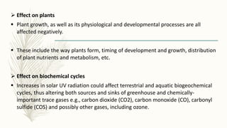  Effect on plants
 Plant growth, as well as its physiological and developmental processes are all
affected negatively.
 These include the way plants form, timing of development and growth, distribution
of plant nutrients and metabolism, etc.
 Effect on biochemical cycles
 Increases in solar UV radiation could affect terrestrial and aquatic biogeochemical
cycles, thus altering both sources and sinks of greenhouse and chemically-
important trace gases e.g., carbon dioxide (CO2), carbon monoxide (CO), carbonyl
sulfide (COS) and possibly other gases, including ozone.
 