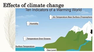 Effects of climate change
 