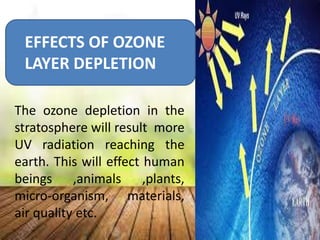 EFFECTS OF OZONE
LAYER DEPLETION
The ozone depletion in the
stratosphere will result more
UV radiation reaching the
earth. This will effect human
beings ,animals ,plants,
micro-organism, materials,
air quality etc.
 