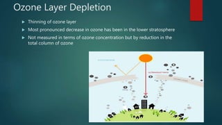 Ozone layer depletion | PPTX