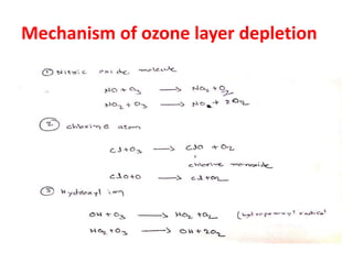 Mechanism of ozone layer depletion
 