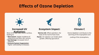 Effects of Ozone Depletion
Increased UV
Radiation:
More UV-B rays reach Earth’s surface,
leading to:
• Skin Cancer: Higher incidence of
melanoma and other skin cancers.
• Eye Damage: Increased risk of
cataracts.
• Immune System Suppression:
Higher vulnerability to diseases.
Ecosystem Impact:
Marine Life: Affects plankton, the
base of the marine food chain.
Plants: UV radiation can hinder plant
growth, affecting agriculture.
Climate C
Ozone depletion contributes to the
warming of the troposphere and
cooling of the stratosphere.
 